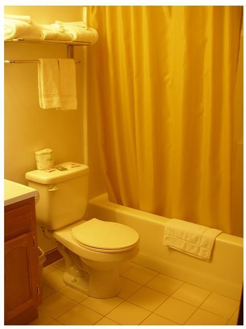 Red Carpet Inn Wind Gap Δωμάτιο φωτογραφία